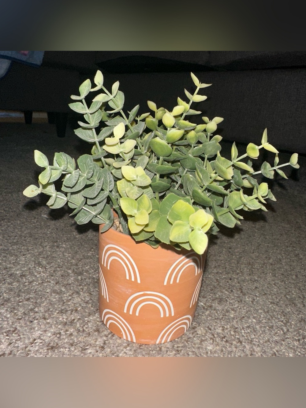 Terracotta Rainbow Planter with Green Faux Eucalyptus - Target